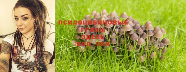 apvp Балабаново