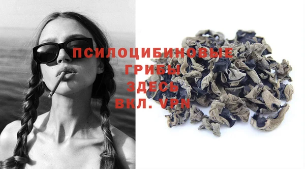 apvp Балабаново