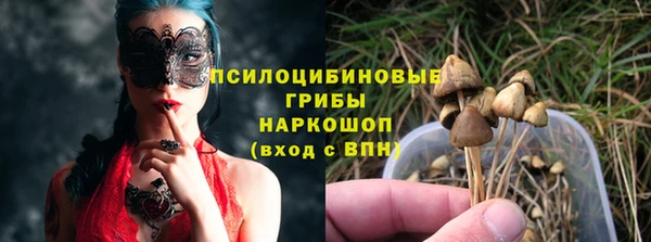 винт Баксан